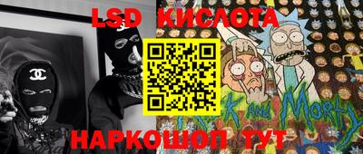 винт Сланцы
