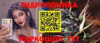 винт Сланцы