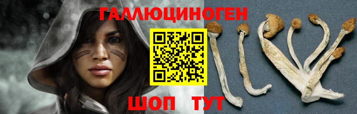 Галлюциногенные грибы Psilocybe  Вход с VPN  Аргун 